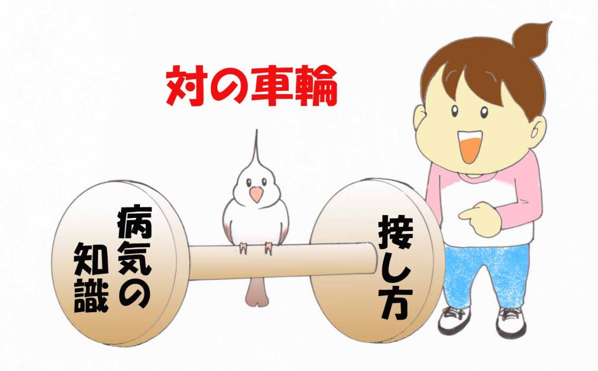 完成 マンガでわかる 統合失調症 家族の対応編 ちゅまログ