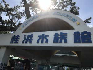 桂浜水族館