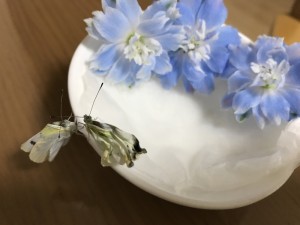 蝶々仲良し花