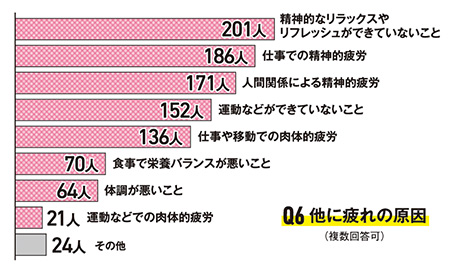 Q6 他に疲れの原因(複数回答可)