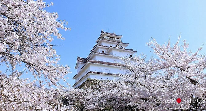 画像03