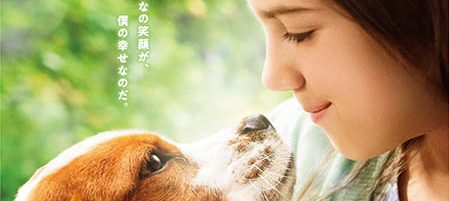 僕のワンダフル・ジャーニー