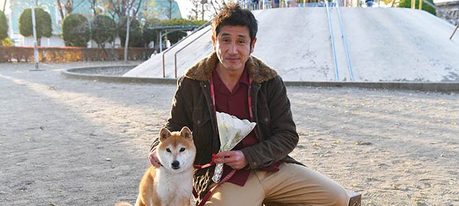 柴公園