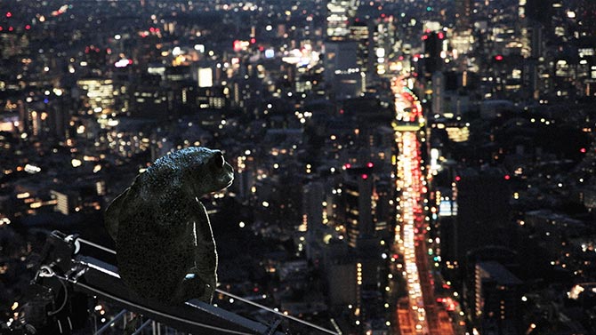 ドリーミング村上春樹