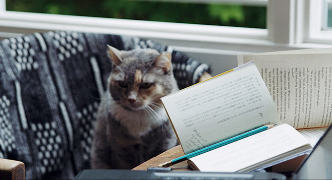 ドリーミング村上春樹