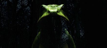 ドリーミング村上春樹