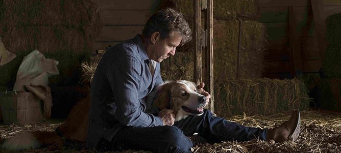 僕のワンダフル・ジャーニー