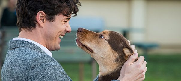 ベラのワンダフル・ホーム