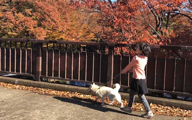 駅までの道を教えて