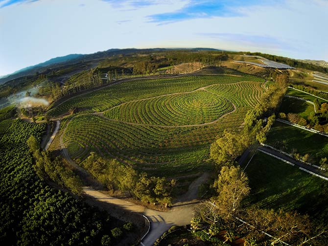 ビッグ・リトル・ファーム 理想の暮らしのつくり方