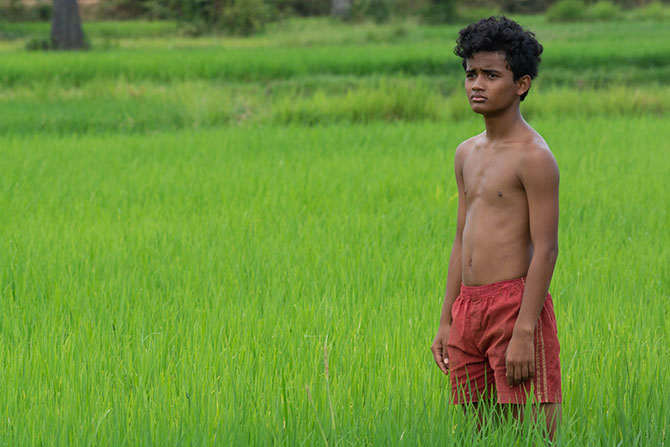ボヤンシー 眼差しの向こうに