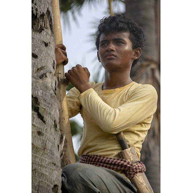 ボヤンシー 眼差しの向こうに