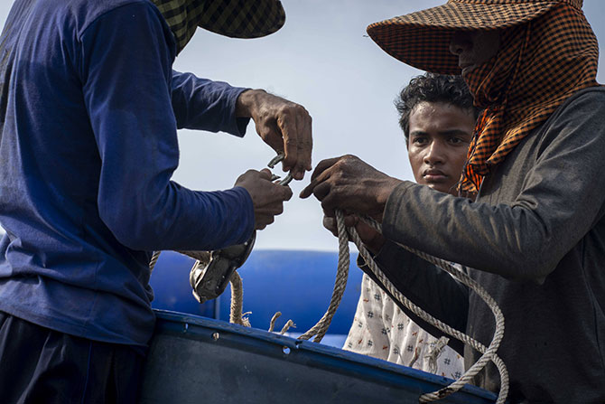 ボヤンシー 眼差しの向こうに