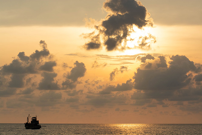 ボヤンシー 眼差しの向こうに