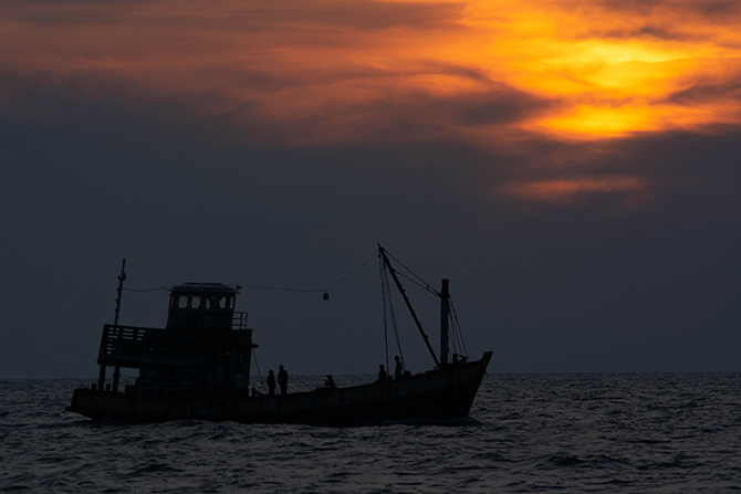 ボヤンシー 眼差しの向こうに
