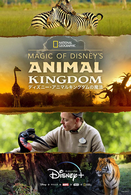 Magic of Disney’sAnimal Kingdom ディズニー･アニマルキングダムの魔法