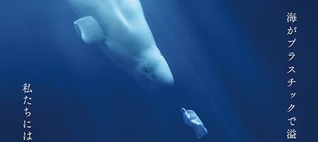 プラスチックの海