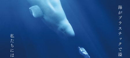 プラスチックの海