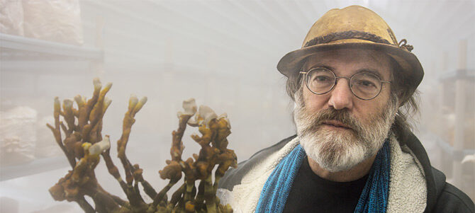 素晴らしき、きのこの世界