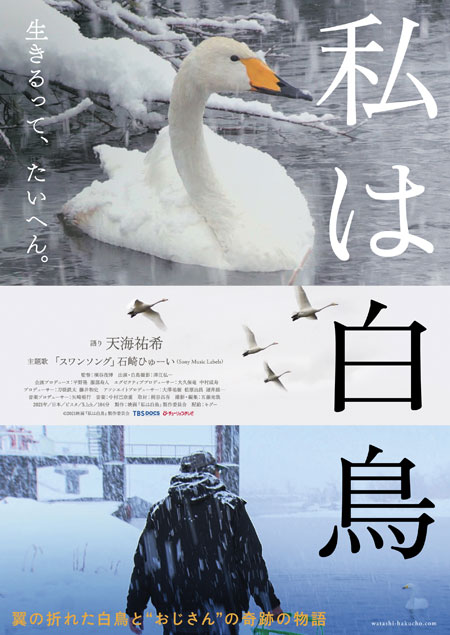 天海祐希 映画初ナレーション 国内外で数々の賞を獲得した傑作テレビドキュメンタリーを映画化 私は白鳥 11月公開決定 Anemo