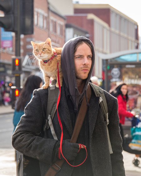 ボブという名の猫２　幸せのギフト