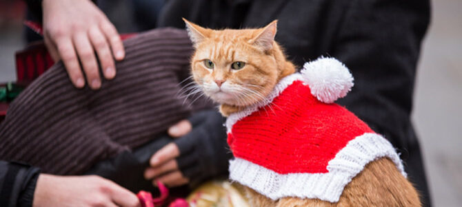 ボブという名の猫２　幸せのギフト