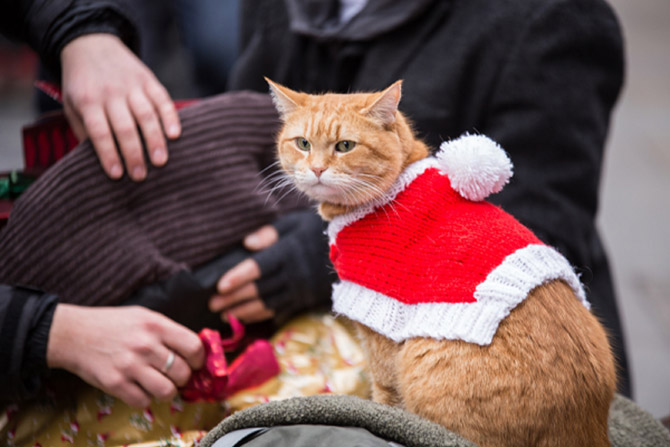 ボブという名の猫２　幸せのギフト