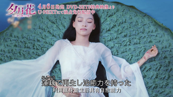 12060円 評価 夕月花 せきげつか ～三世を駆ける愛～ DVD-SET1 2