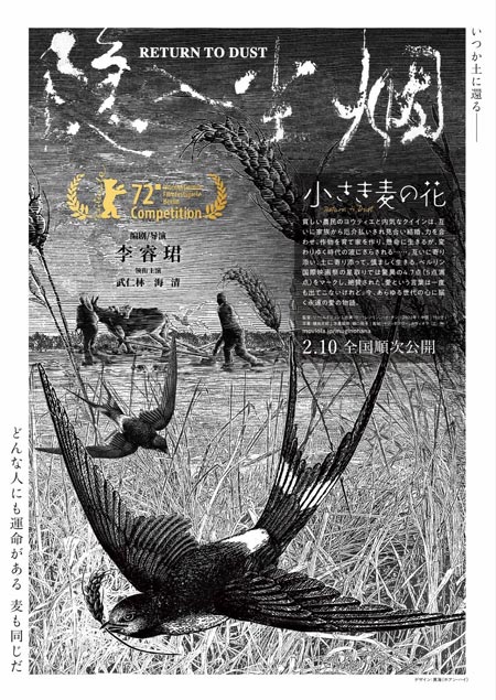 小さき麦の花