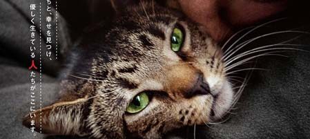猫と、とうさん
