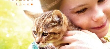 ルー、パリで生まれた猫