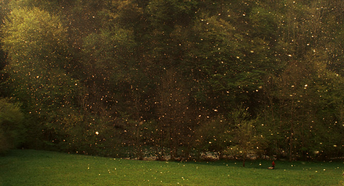 栗の森のものがたり