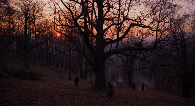 栗の森のものがたり