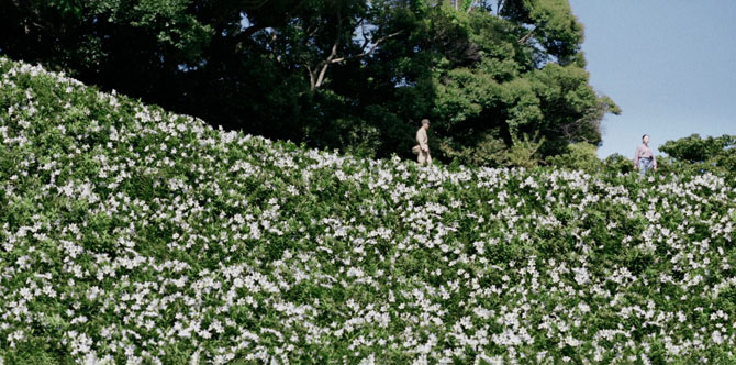 あの花が咲く丘で、君とまた出会えたら。