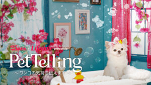 Pet Telling ～ワンコの気持ち伝えます～