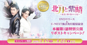 北月と紫晴~流光に舞う偽りの王妃~