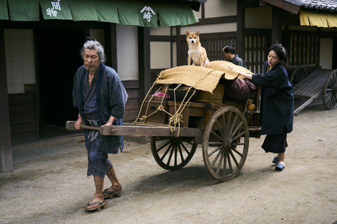 画像8