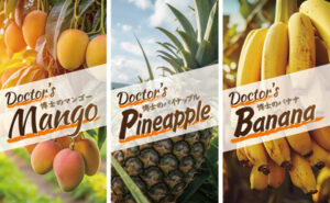 博士のドライフルーツ