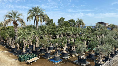 Kayu style Botaniqa Atelier(カユスタイル ボタニカ アトリエ)