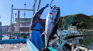 鹿児島県瀬戸内町のふるさと納税