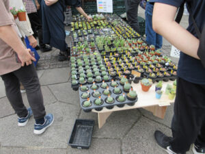 北区グリーンフェスタ2026