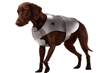 【業界初※】ペット用冷却ベストが新発売！※PCM素材搭載「ペット（犬）用アイスベスト」2026年5月下旬発売