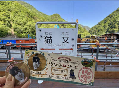 黒部峡谷鉄道　宇奈月～猫又間開通100周年記念「うちの子ねこきっぷ＆缶バッジ」プレゼント！
