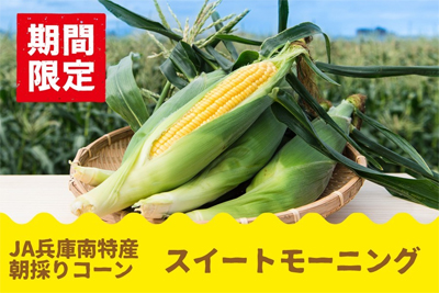 「スイートモーニング」予約開始新たに２Ｌサイズ登場、対象商品早割１０％ＯＦＦも!