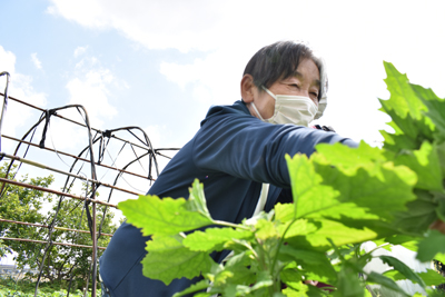 「支援される側」だけではない。こうのす共生病院、“地域の知恵”が循環するコミュニティナーシングの実践