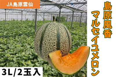 長崎県産の「島原風香 マルセイユメロン」がJAタウンのショップ「もぐもぐながさき」に初登場!