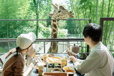 「キリンと朝食」が再開！動物園×グランピング施設『THE BAMBOO FOREST』夏限定・流しそうめん付き宿泊プランも開始