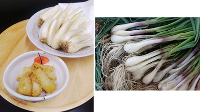 ～生産量日本一の産地から鮮度抜群でお届け！～全農直営飲食店舗で「鳥取県産根付らっきょうフェア」を５月２８日（木）～６月４日（木）まで開催