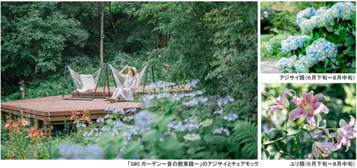 ROKKO森の音ミュージアムSIKIガーデンSummer Season“Symphony”夏の花々とアート、音楽が調和したフェアを開催
