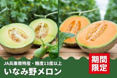 糖度13度以上！　今年も兵庫県産「いなみ野メロン」（青肉・赤肉）の予約販売開始。赤・青セットご注文で志方いちじく専用1,000円クーポンプレゼント！